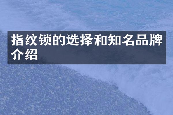指纹锁的选择和知名品牌介绍
