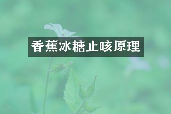 香蕉冰糖止咳原理