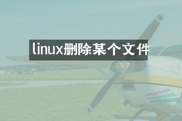 linux删除某个文件