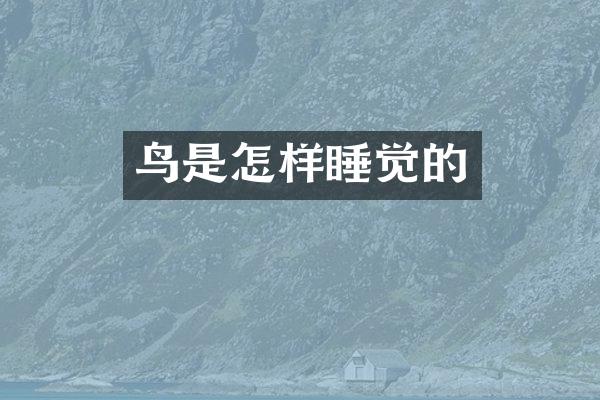 鸟是怎样睡觉的