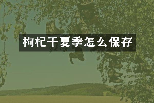 枸杞干夏季怎么保存