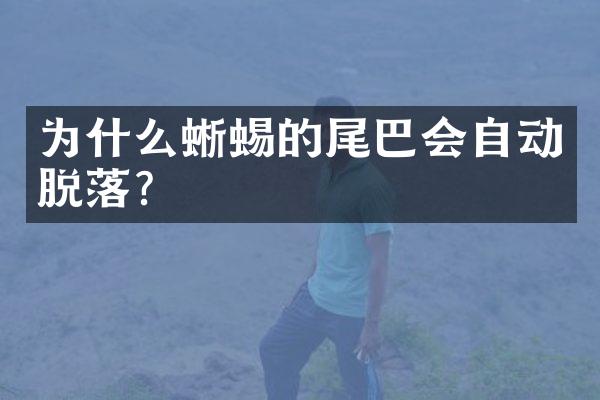 为什么蜥蜴的尾巴会自动脱落?
