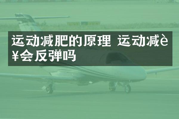 运动减肥的原理 运动减肥会反弹吗