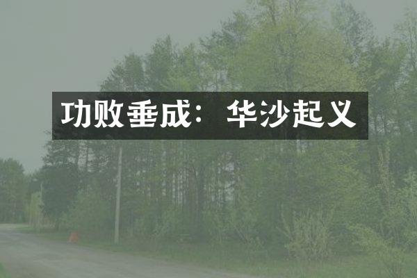 功败垂成：华沙起义