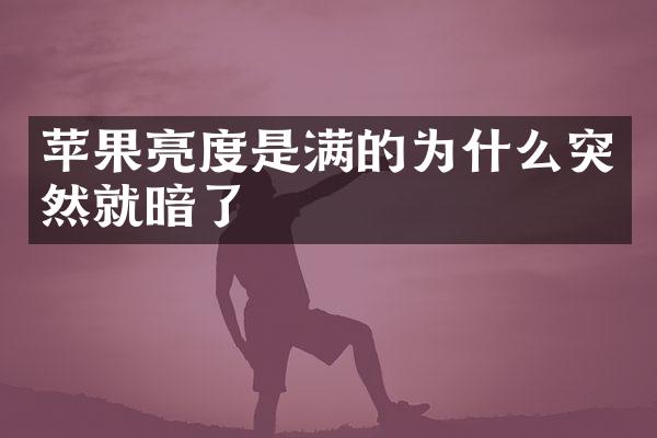 苹果亮度是满的为什么突然就暗了