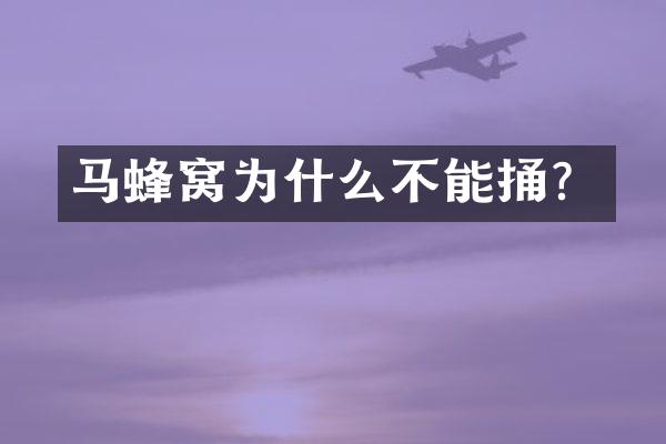 马蜂窝为什么不能捅？