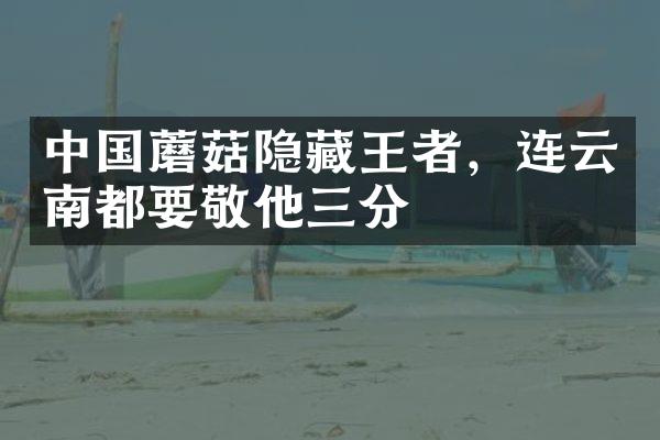 中国蘑菇隐藏王者，连云南都要敬他三分