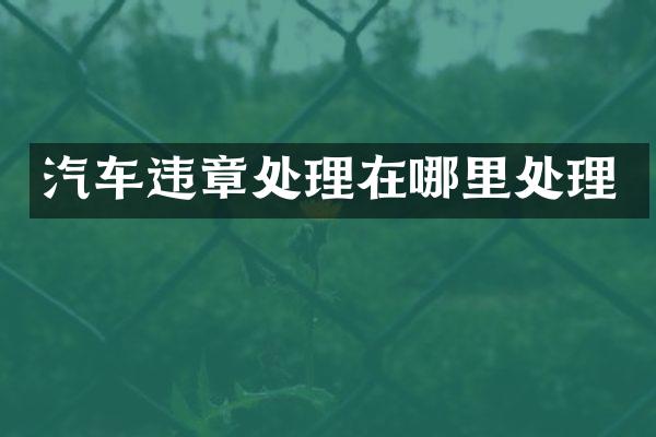 汽车违章处理在哪里处理
