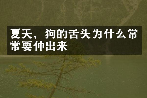 夏天，狗的舌头为什么常常要伸出来