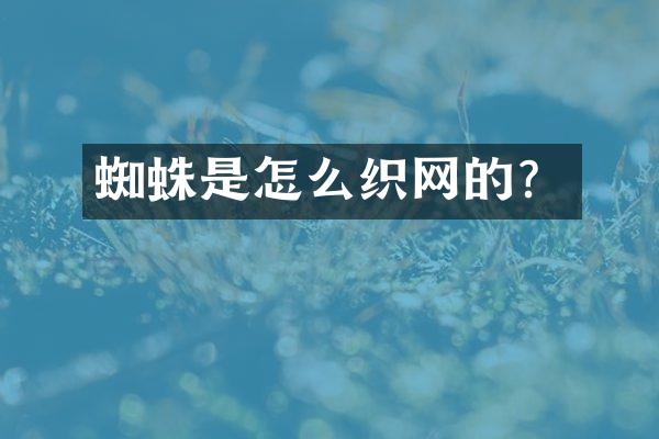 蜘蛛是怎么织网的？