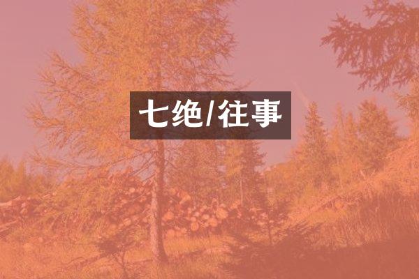 七绝/往事