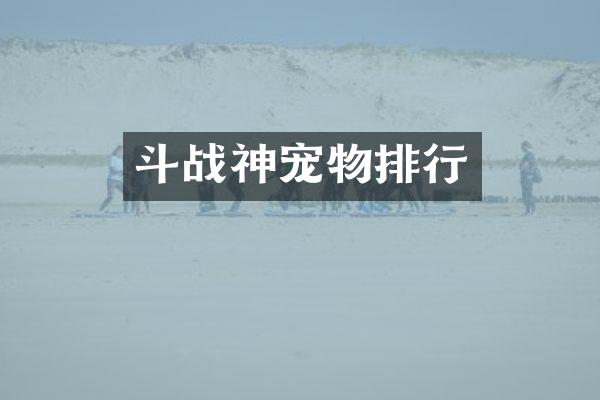 斗战神宠物排行