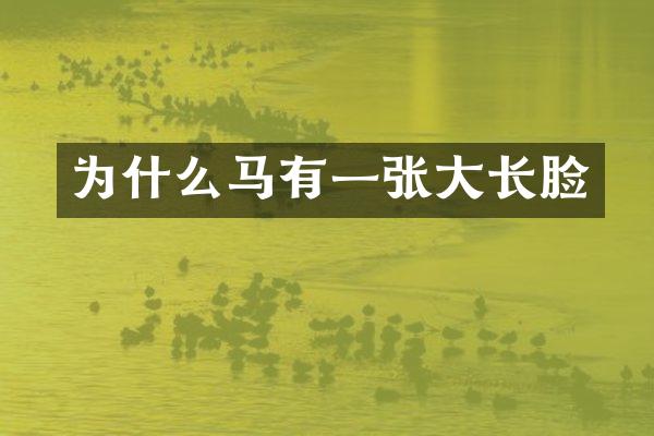 为什么马有一张大长脸