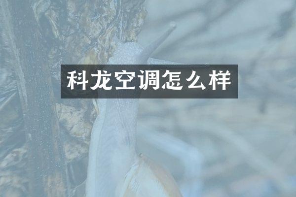 科龙空调怎么样