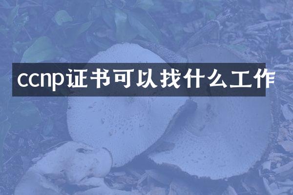 ccnp证书可以找什么工作
