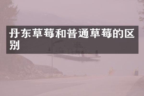 丹东草莓和普通草莓的区别