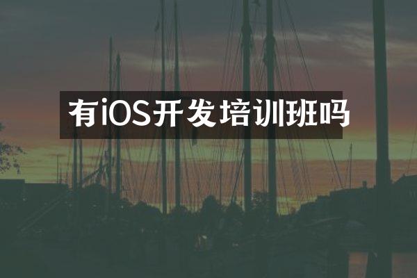 有iOS开发培训班吗