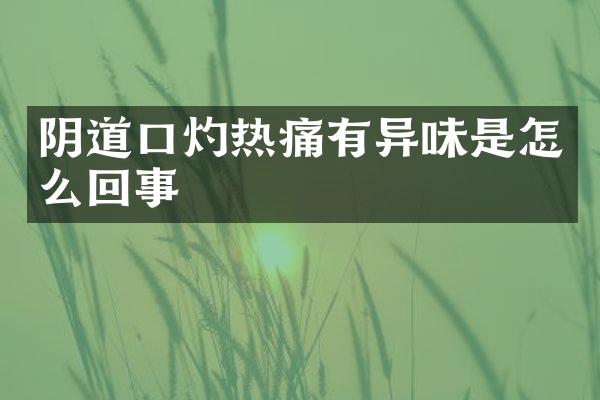 阴道口灼热痛有异味是怎么回事
