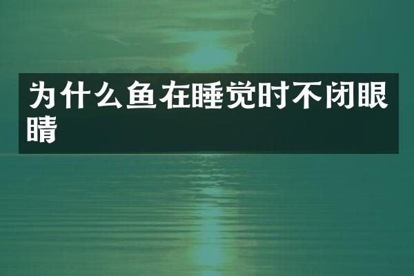 为什么鱼在睡觉时不闭眼睛