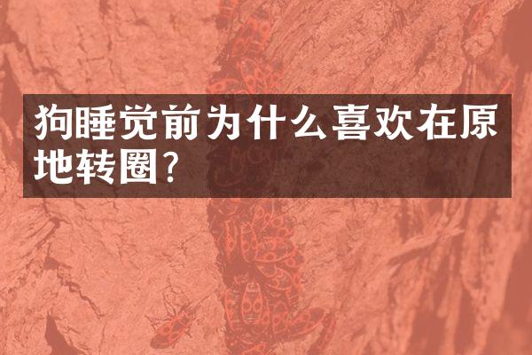 狗睡觉前为什么喜欢在原地转圈？