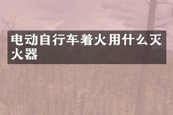 电动自行车着火用什么灭火器