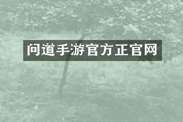 问道手游官方正官网