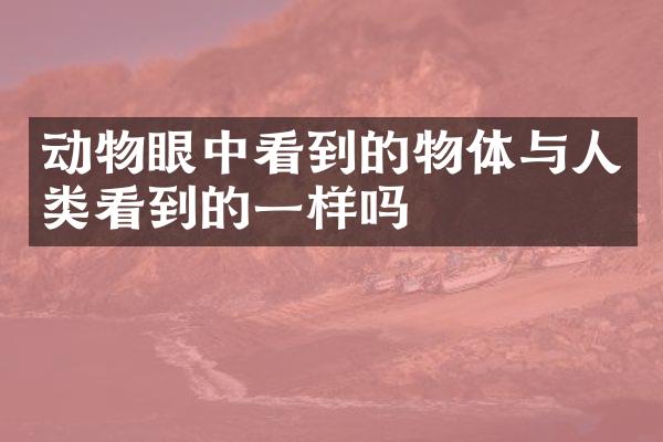 动物眼中看到的物体与人类看到的一样吗
