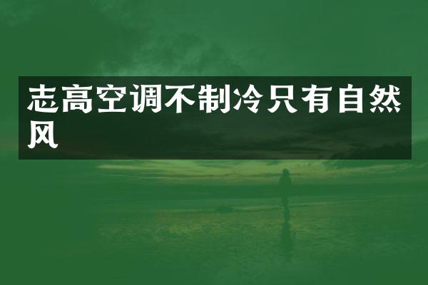 志高空调不制冷只有自然风