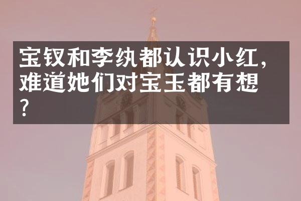 宝钗和李纨都认识小红，难道她们对宝玉都有想法？