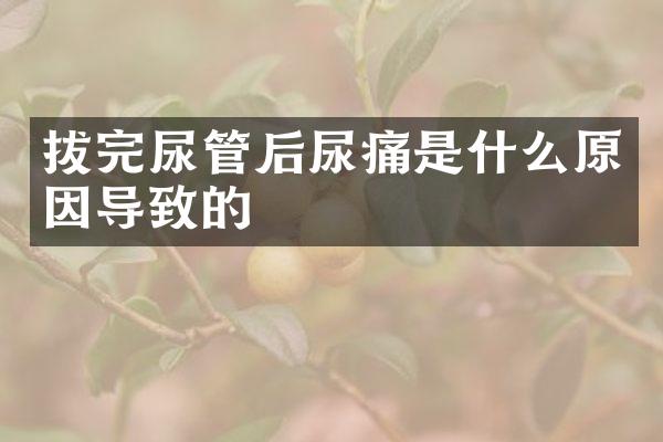 拔完尿管后尿痛是什么原因导致的