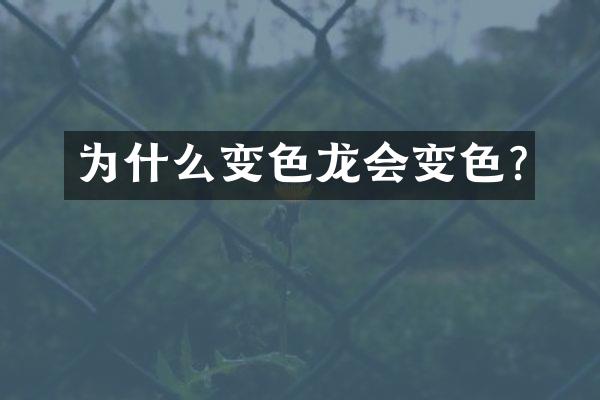 为什么变色龙会变色?