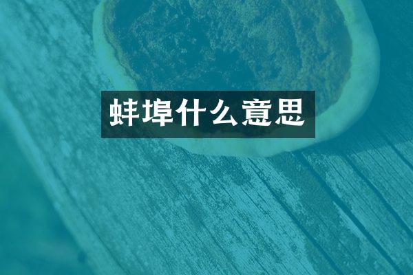 蚌埠什么意思
