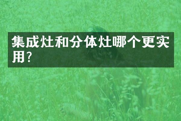 集成灶和分体灶哪个更实用？