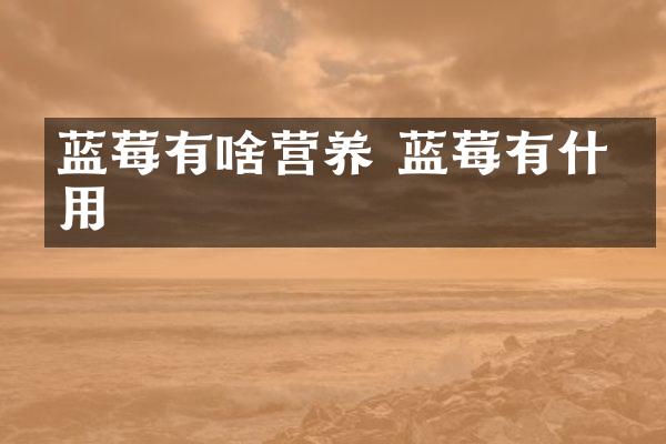 蓝莓有啥营养 蓝莓有什么用