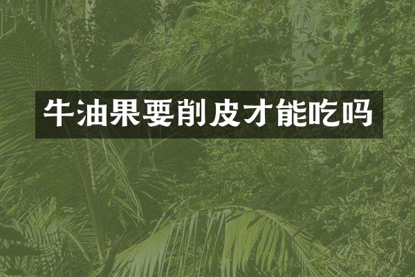 牛油果要削皮才能吃吗