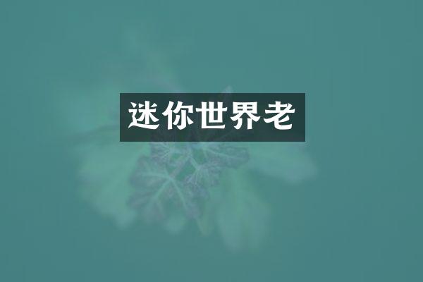 迷你世界老
