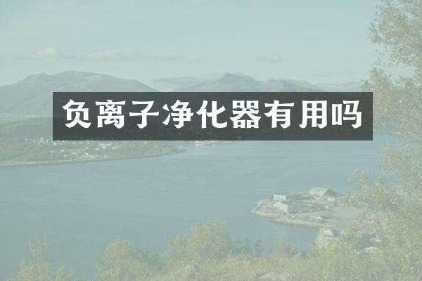 负离子净化器有用吗