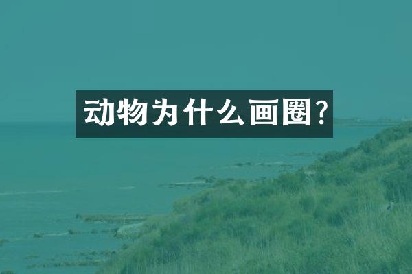 动物为什么画圈?