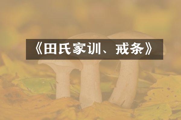 《田氏家训、戒条》