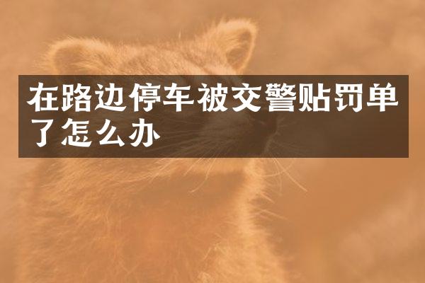 在路边停车被交警贴罚单了怎么办