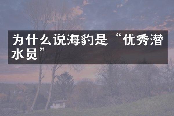为什么说海豹是“优秀潜水员”