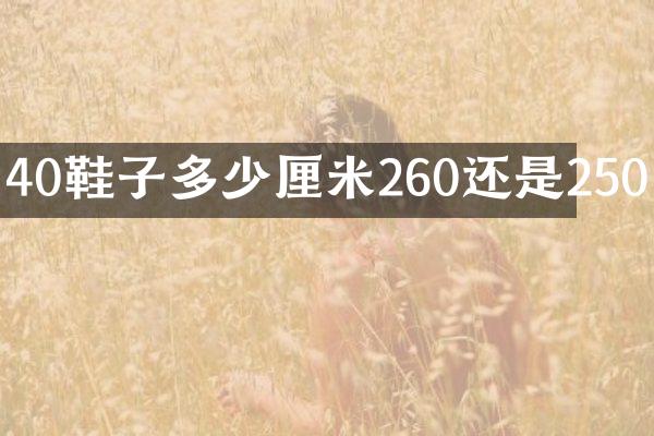 40鞋子多少厘米260还是250
