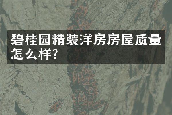 碧桂园精装洋房房屋质量怎么样？