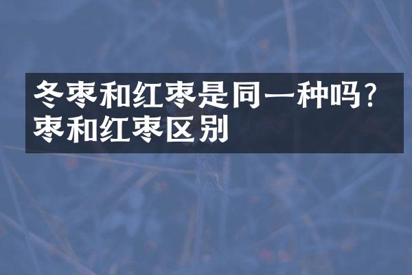 冬枣和红枣是同一种吗?冬枣和红枣区别