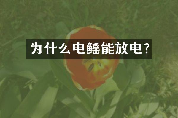 为什么电鳐能放电?