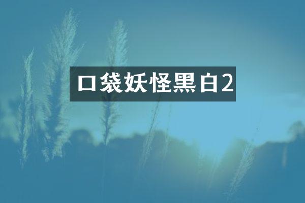 口袋妖怪黑白2