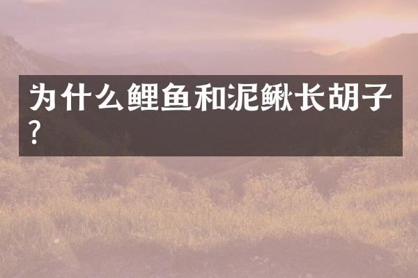 为什么鲤鱼和泥鳅长胡子?
