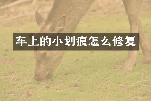 车上的小划痕怎么修复