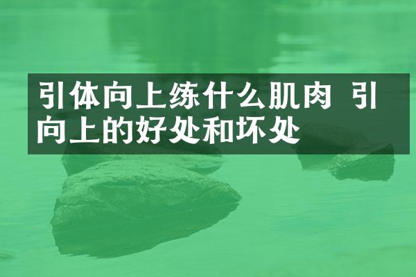 引体向上练什么肌肉 引体向上的好处和坏处