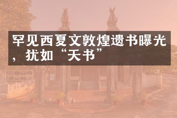 罕见西夏文敦煌遗书曝光，犹如“天书”
